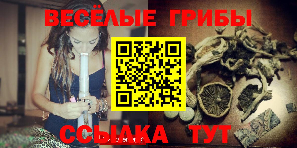 Галлюциногенные грибы MAGIC MUSHROOMS  Вход с VPN  Мыски 